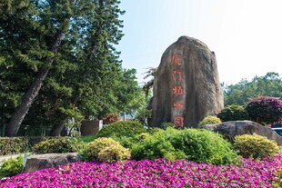 厦门植物园风光
