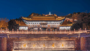 兰州白塔山公园夜景