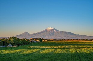 田园风光中的巍峨远山