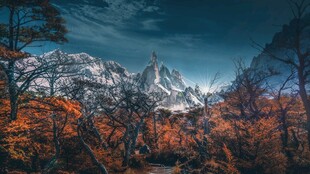 秋日山林中的巍峨雪山