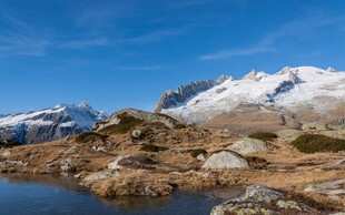 雪山湖畔美景