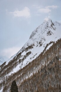 雪山森林美景
