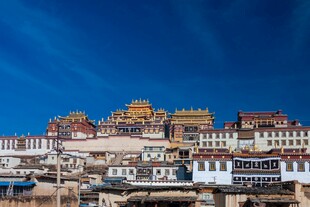壮丽藏式建筑群
