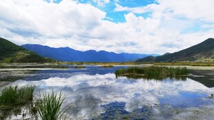 湖畔美景山水相映成趣