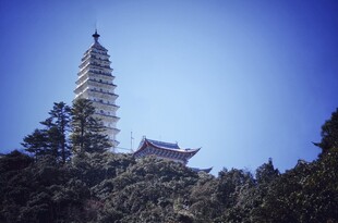 古塔屹立于葱郁山林间