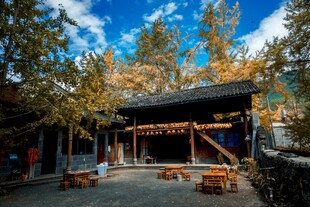 古雅庭院秋景