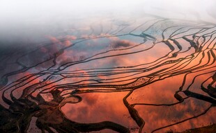 梦幻光影下的梯田美景
