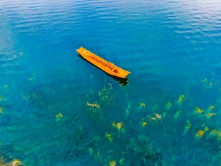 海上孤舟伴游鱼