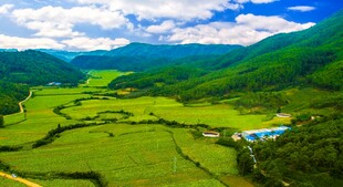 山间绿野风光