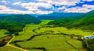山间绿野美景