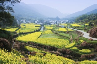 春日田园风光美景如画