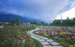 花海小径 邂逅自然之美
