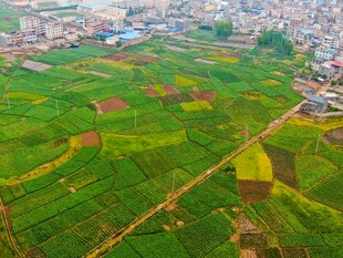俯瞰多彩农田景观
