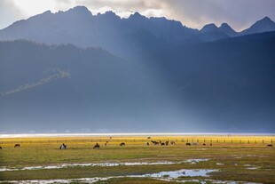 草原山川壮丽风光图