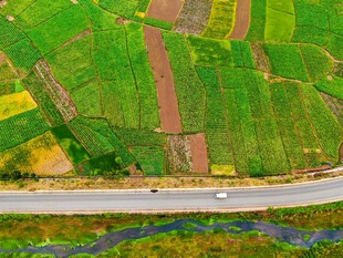 俯瞰公路旁多彩田园风光