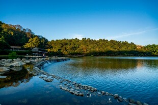 宁静湖畔风光