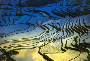 绝美梯田光影景观