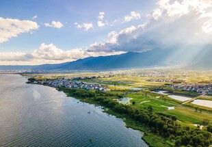 河畔美景 阳光照耀田园风光