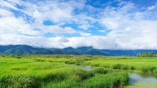 绿野溪流 远山蓝天白云