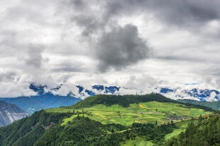 山峦绿野间的壮丽云海