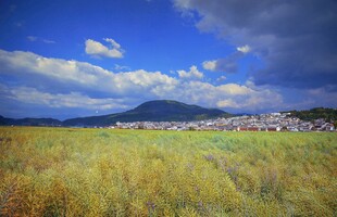 草原蓝天远山风景如画