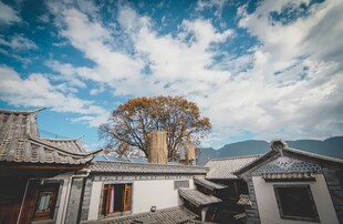 古宅旁的参天大树与蓝天