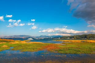 美丽草原湿地风光