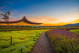 夕阳下的田园与中式建筑