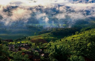 山间绿野美景
