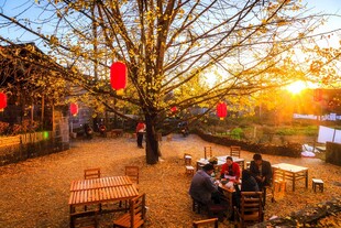 夕阳下的庭院休闲场景