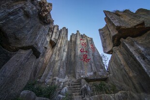 壮观石林景观