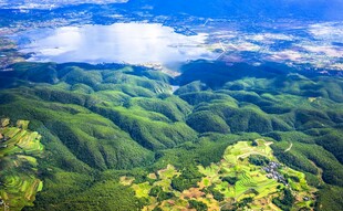 翠绿山峦间的云海美景