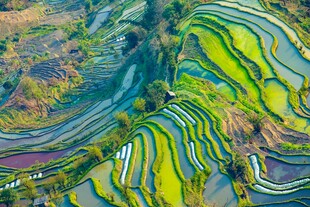 多彩梯田风光