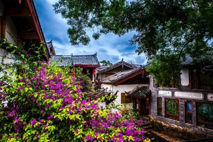 古巷繁花中的中式建筑