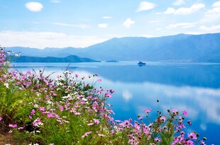 湖畔繁花与静谧湖水美景