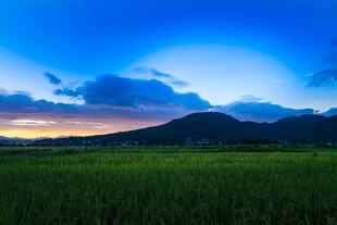 黄昏下的绿野与远山
