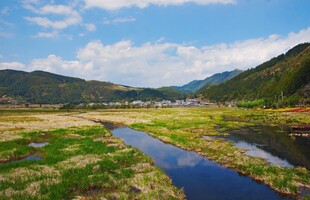山间溪流旁的清新自然景