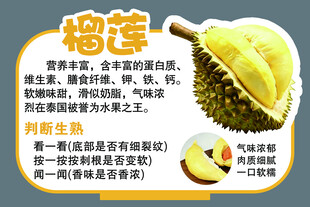 榴莲介绍 香甜软糯的热带水果