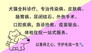 宠物医院名片