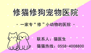 宠物医院名片