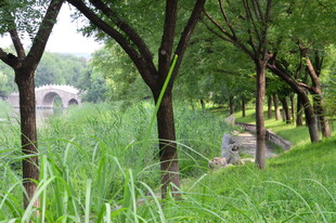 公园风景 