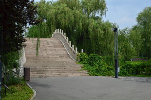 公园风景  