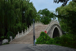 公园风景  