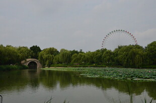 公园风景 