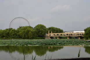 公园风景 