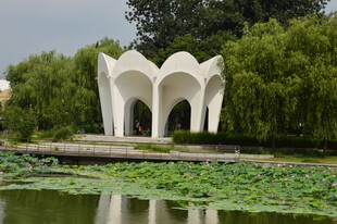 公园风景 