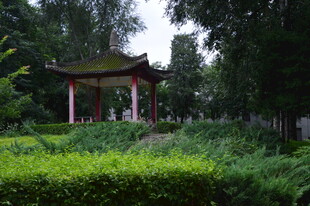 公园风景  