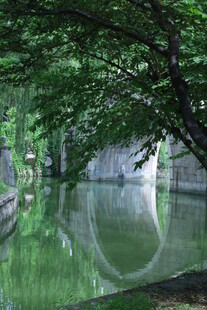 公园风景 