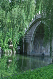 公园风景 