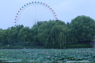 公园风景  